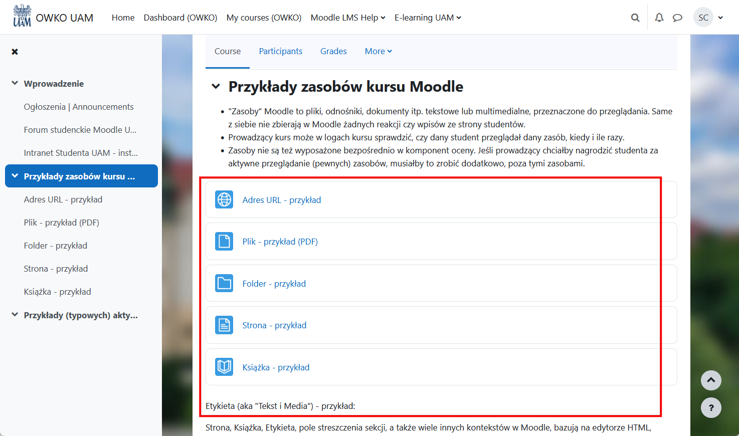 Moodle Help for Students page with examples of resources
